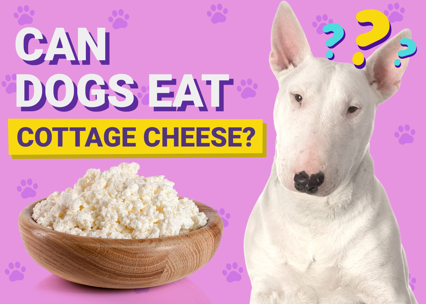 Can Dogs Eat_Cottage Cheese