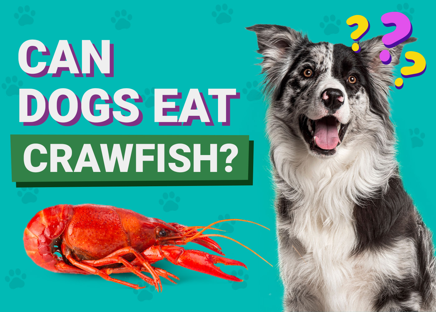 Can Dogs Eat_Crawfish