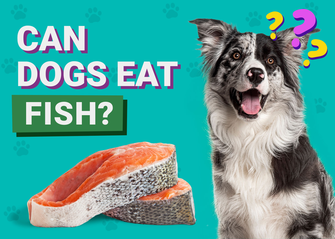 Can Dogs Eat_Fish