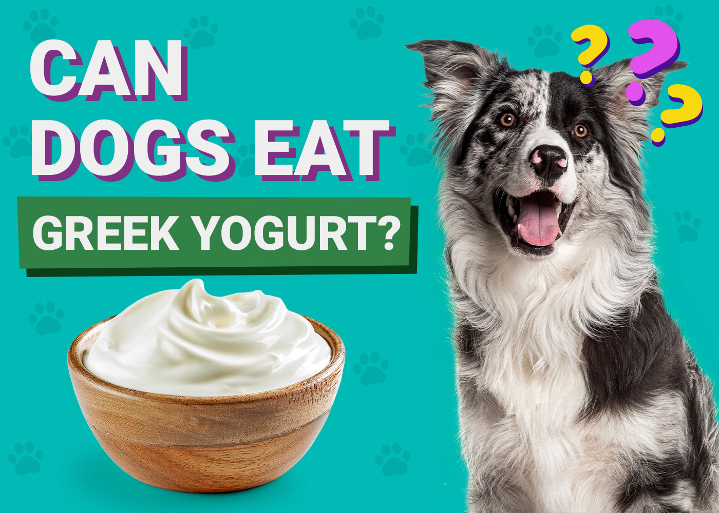 Can Dogs Eat_Greek Yogurt