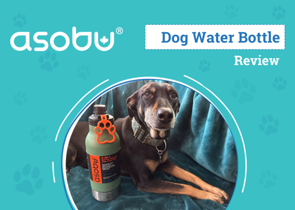 DOG_SAPR_Asobu Dog Water Bottle