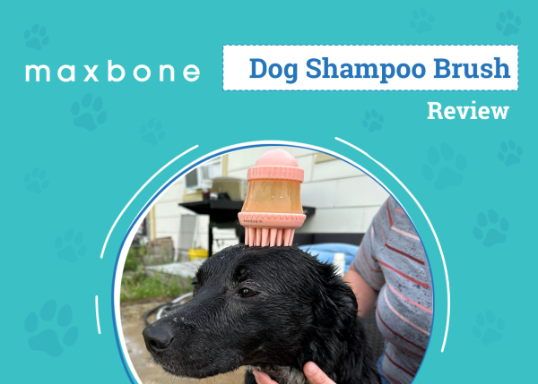 DOG_SAPR_Maxbone Dog Shampoo Brush
