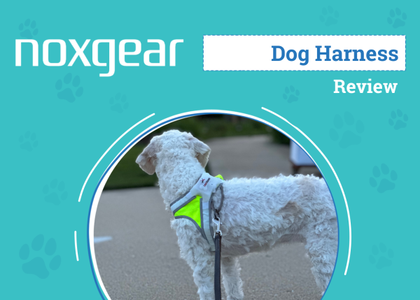 DOG_SAPR_Noxgear Dog Harness