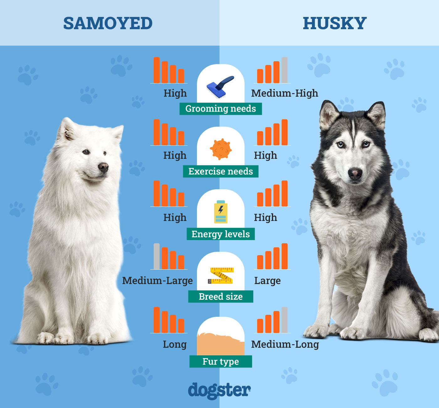 Dogster_Side by Side Comparison_Samoyed vs Husky