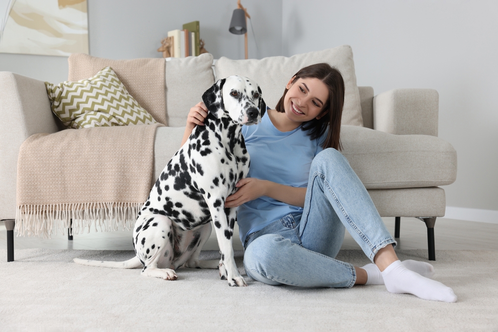 young woman with her adorable Dalmatian dog at home