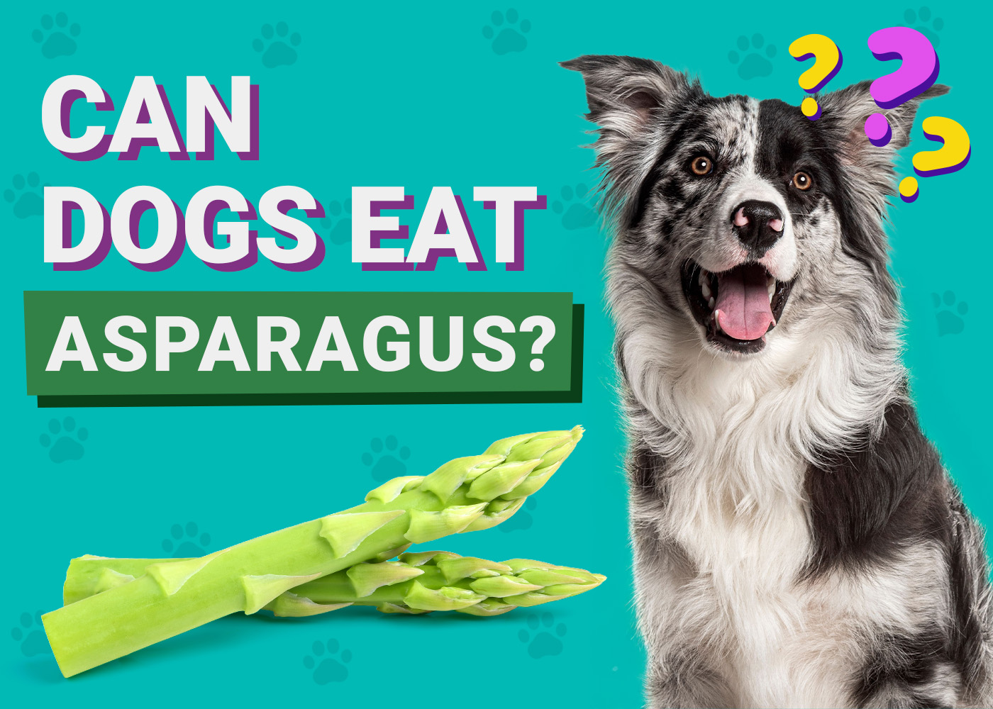 Can Dogs Eat_Asparagus