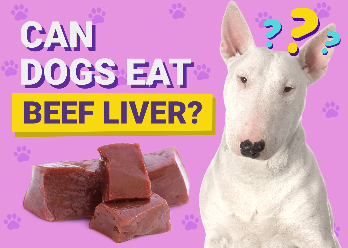 Can Dogs Eat Beef Liver Vet Approved Facts FAQ Dogster can-dogs-eat-beef-liver-vet-approved-facts-faq-dogster