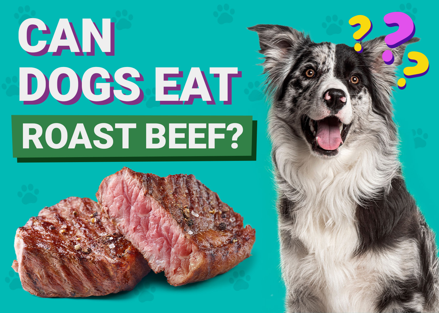 benefits of beef for dogs