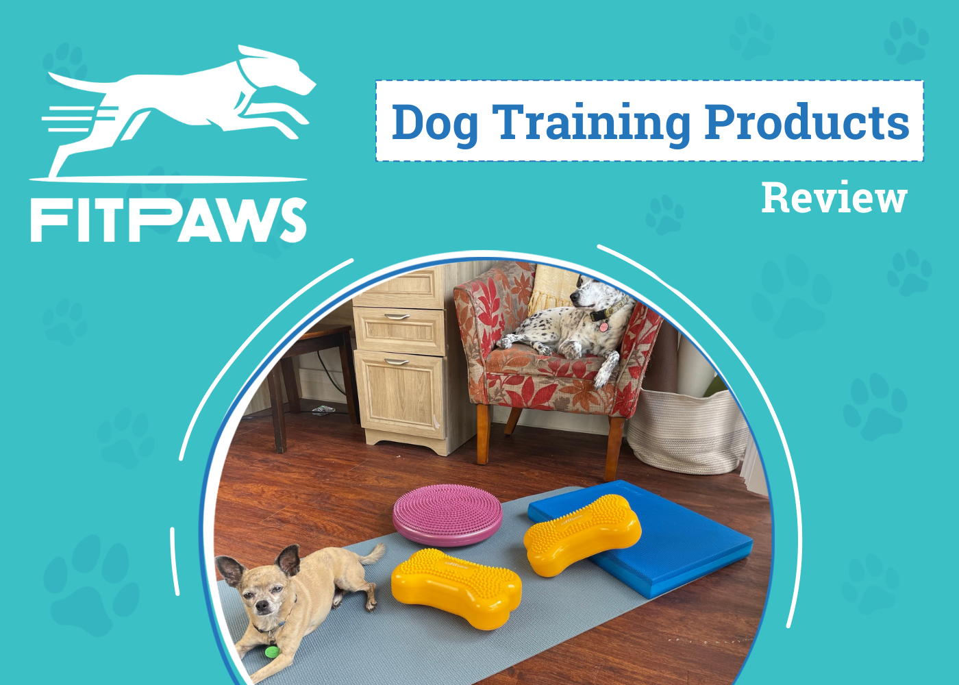 DOG_SAPR_Fitpaws Dog Training Products