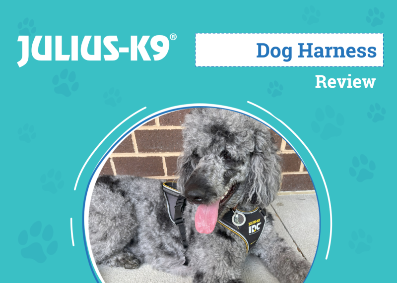 Julius K9 Longwalk Dog Harness