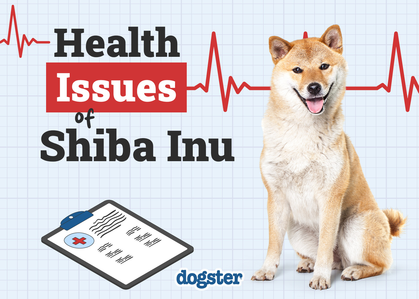 Dogster_Health Problems of Shiba Inu
