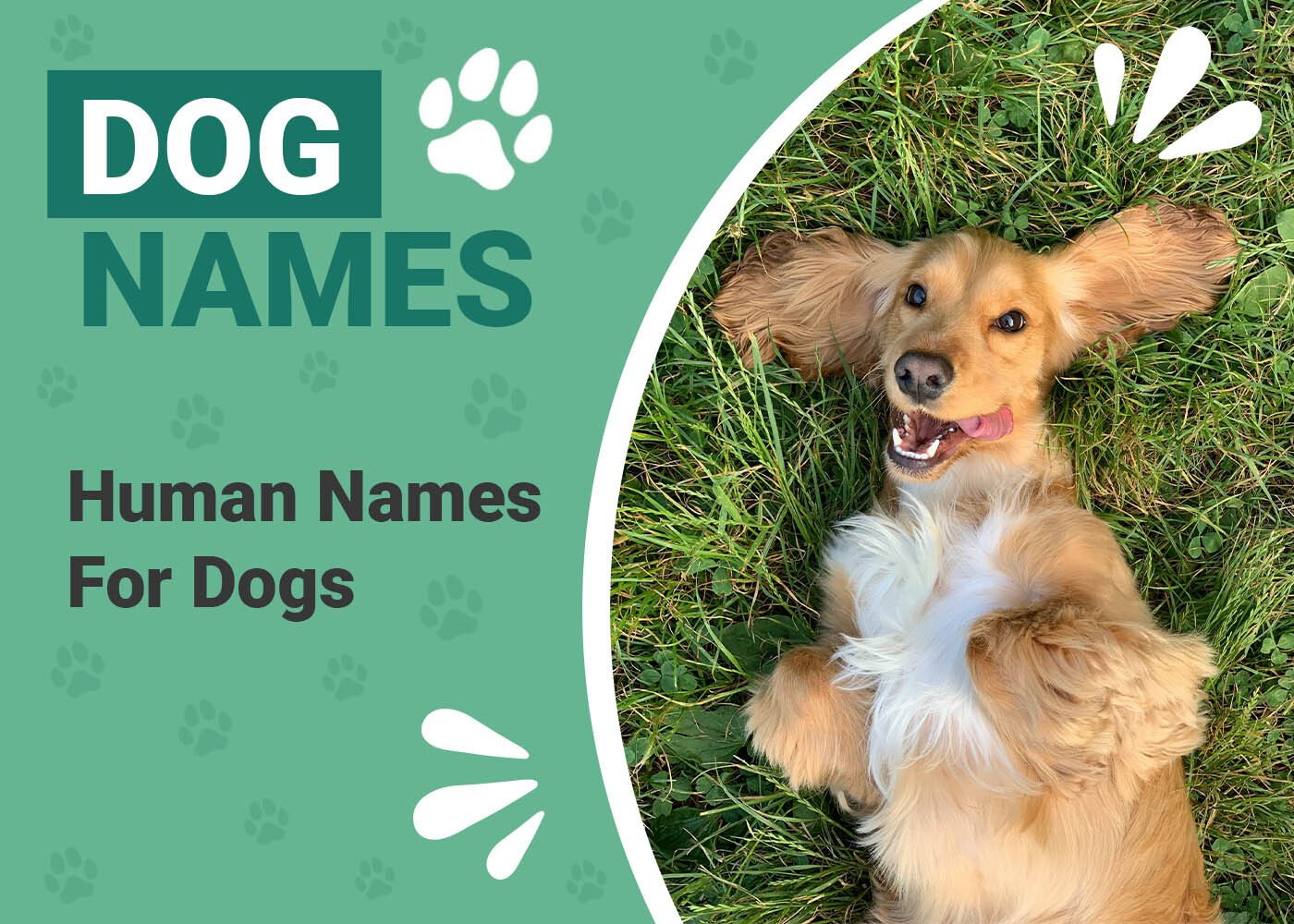 Human Names for Dog