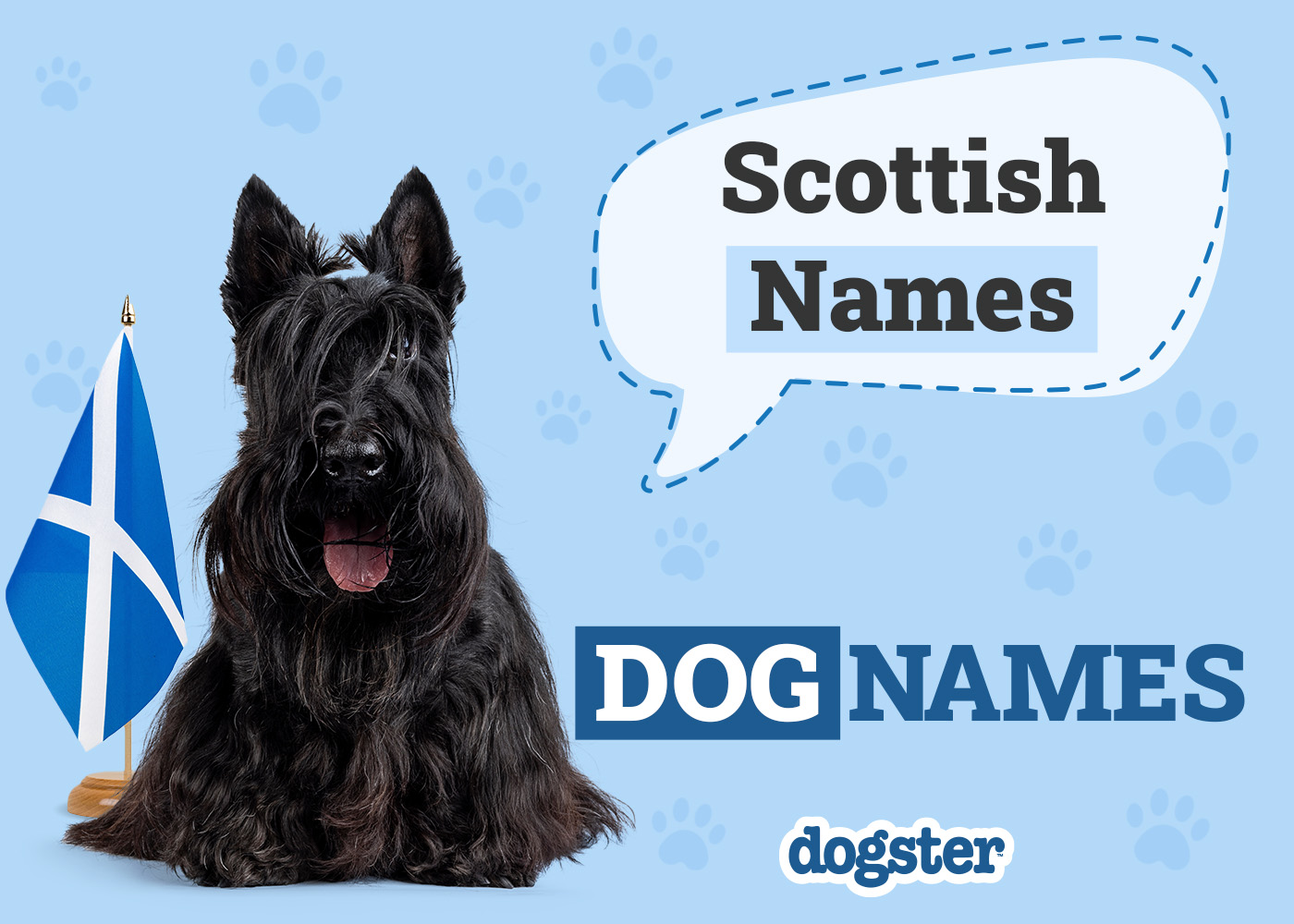 Dogster_Scottish Names