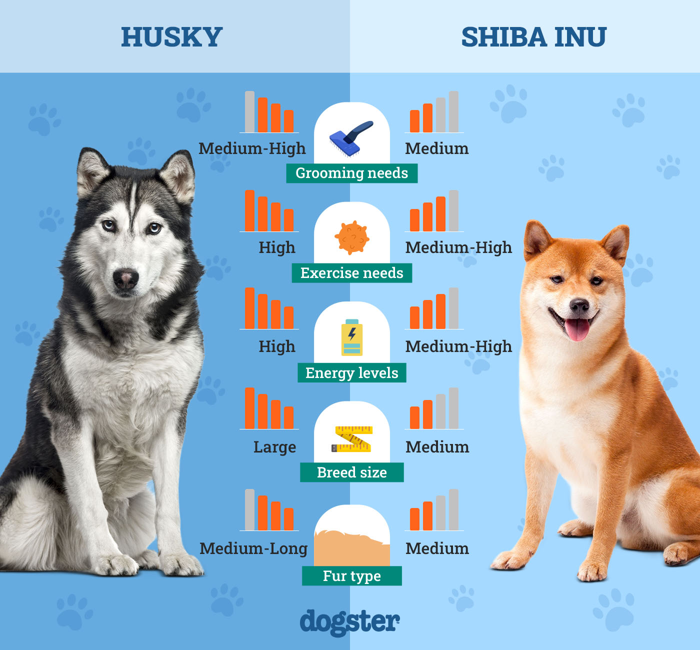 Dogster_Side by Side Comparison_ Husky vs Shiba Inu