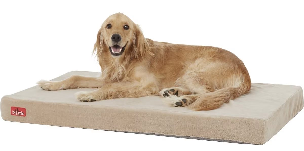 Brindle Plush Orthopedic Pillow Dog Bed