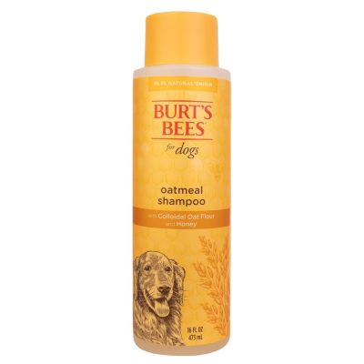 Burt’s Bees Oatmeal Shampoo with Colloidal Oat Flour