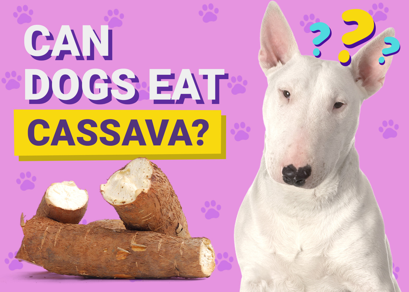 Can Dogs Eat_Cassava