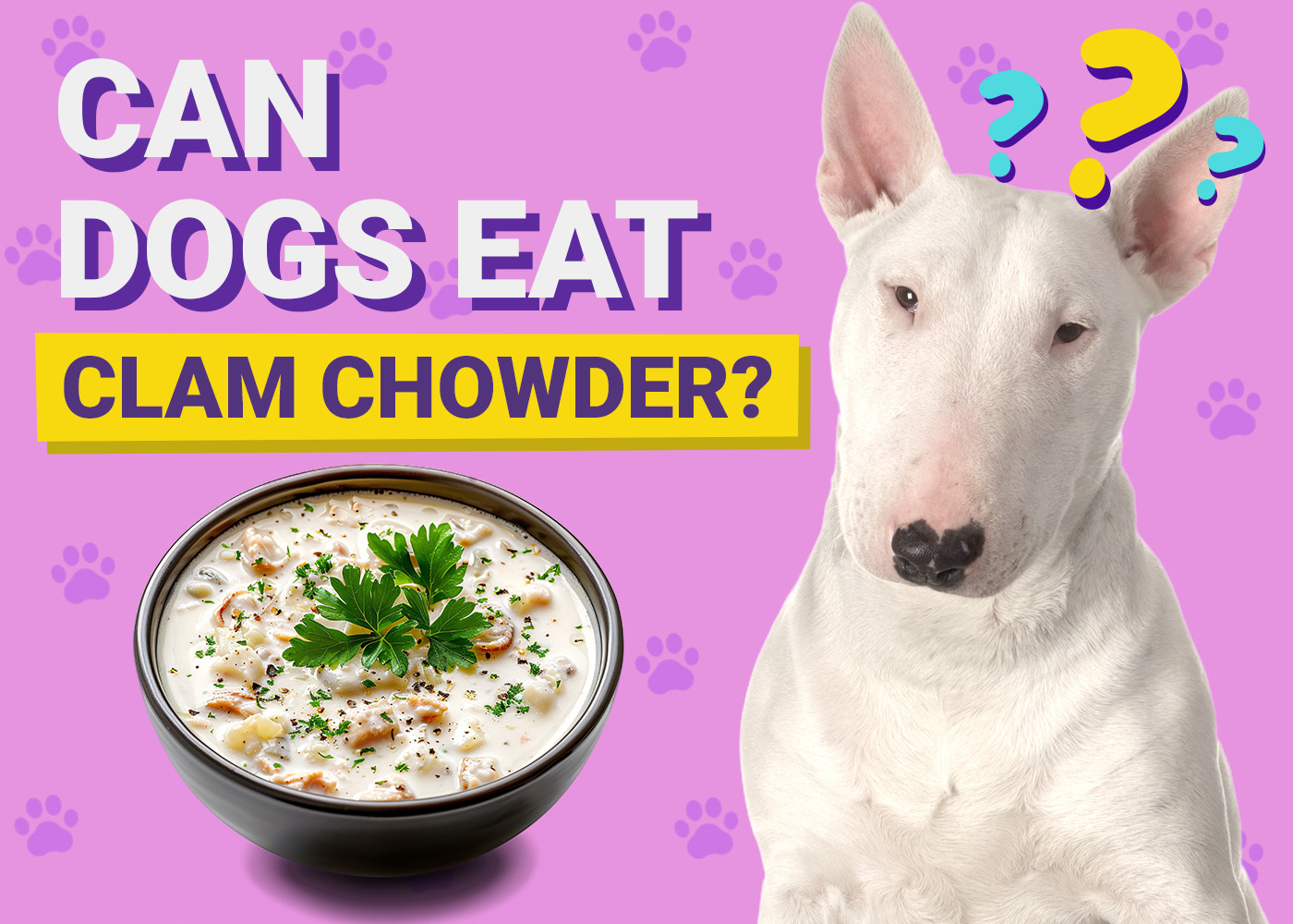 Can Dogs Eat_Clam Chowder