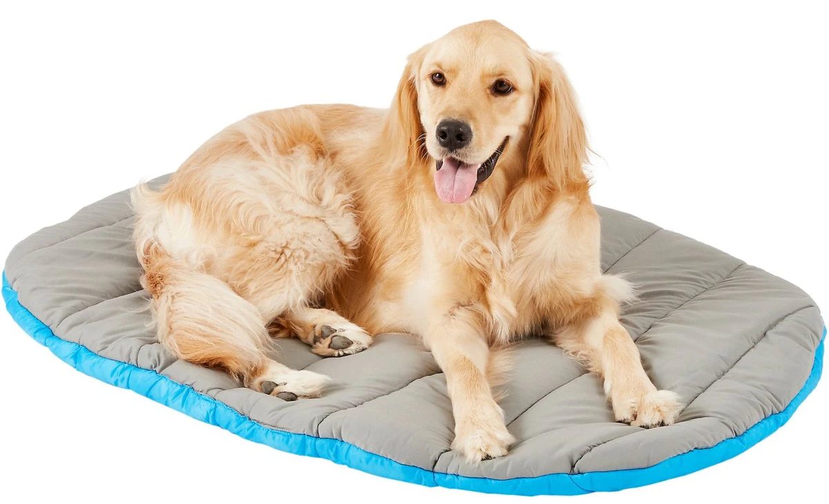 Chuckit! Travel Pillow Dog Bed