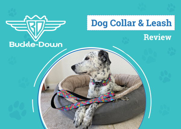 DOG_SAPR_Buckle-down Dog Collar & Leash