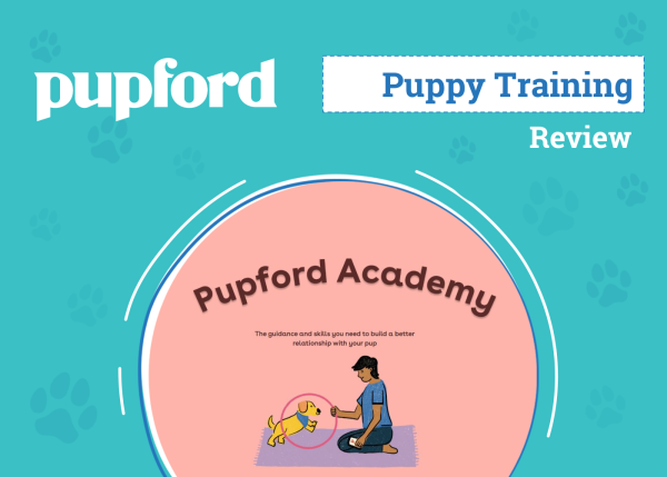 DOG_SAPR_Pupford Puppy Training