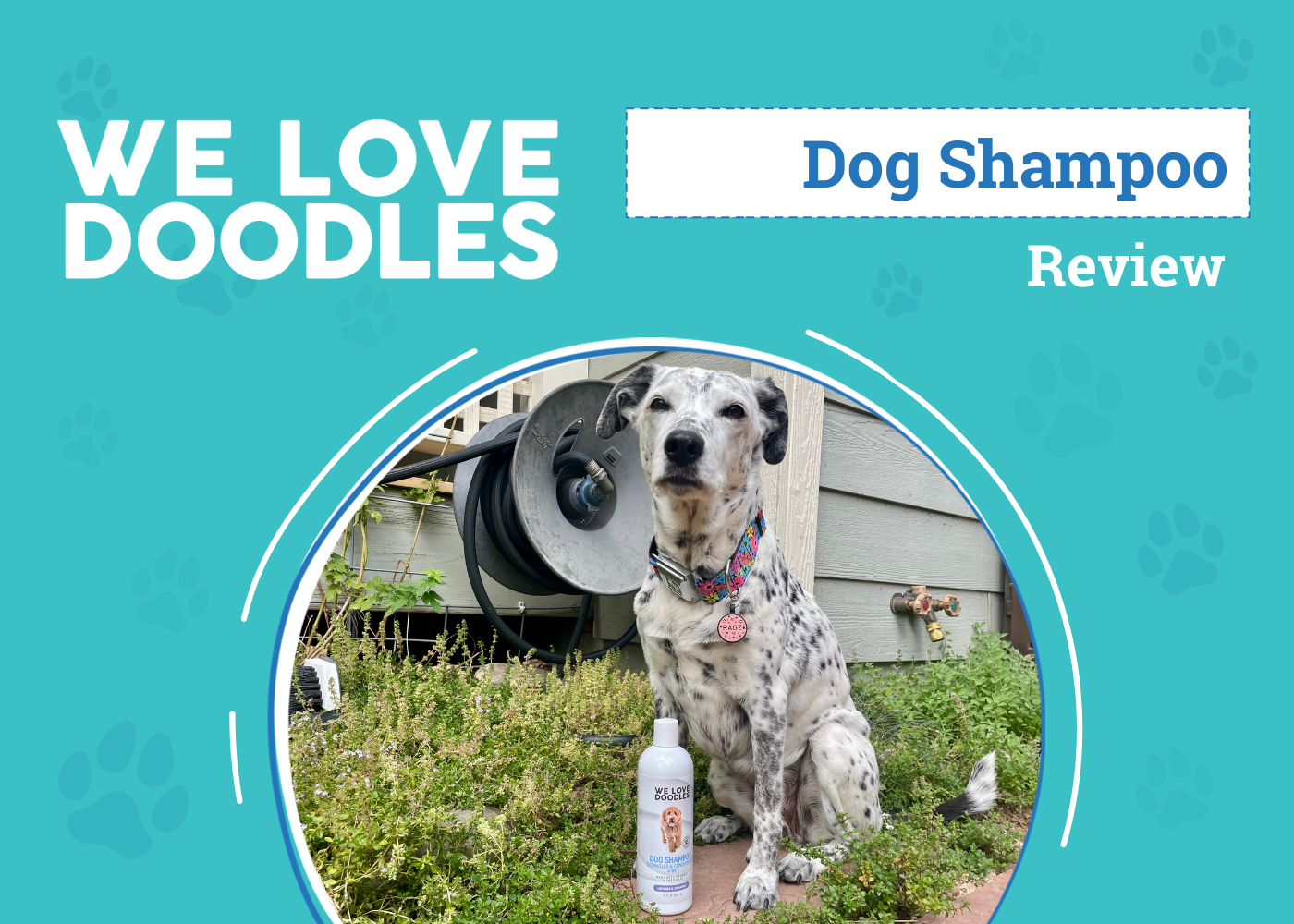 DOG_SAPR_We Love Doodles Dog Shampoo