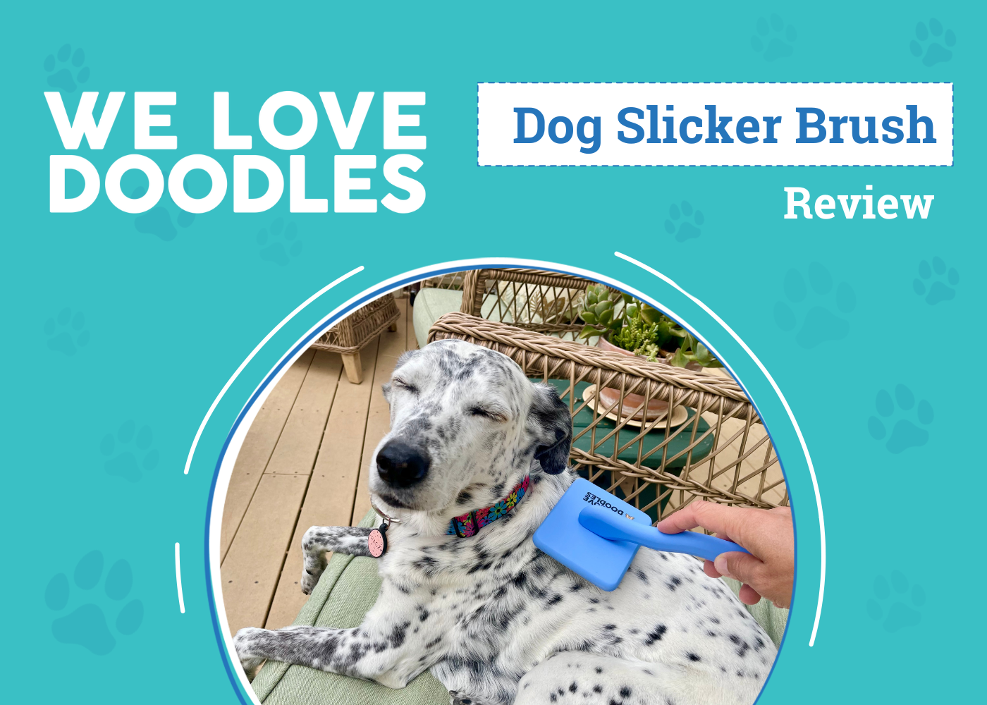 DOG_SAPR_We Love Doodles Dog Slicker Brush