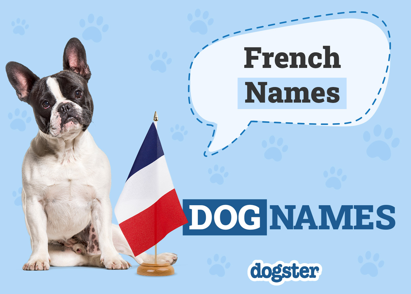 Dogster_French Names