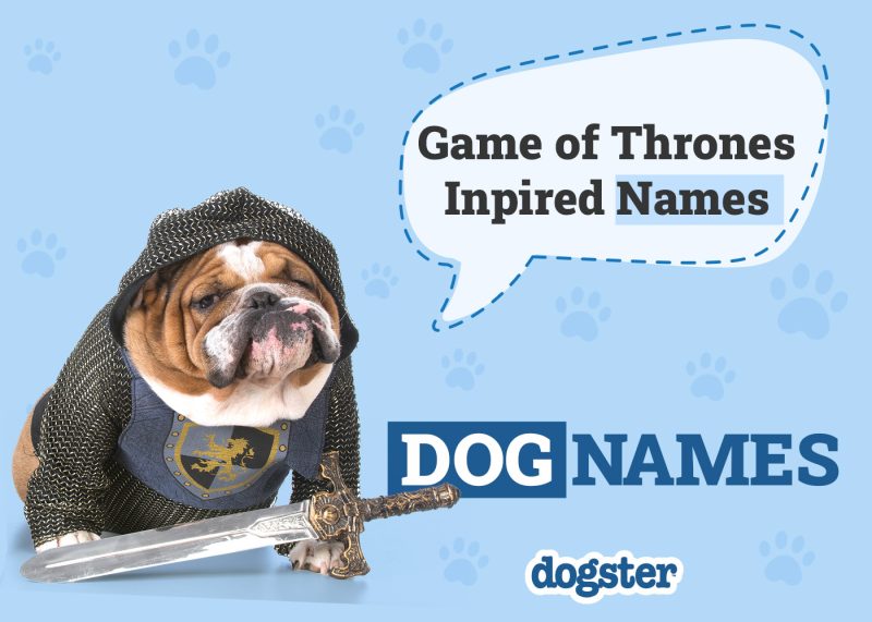 Dogster_Game of Thrones Inspired Names