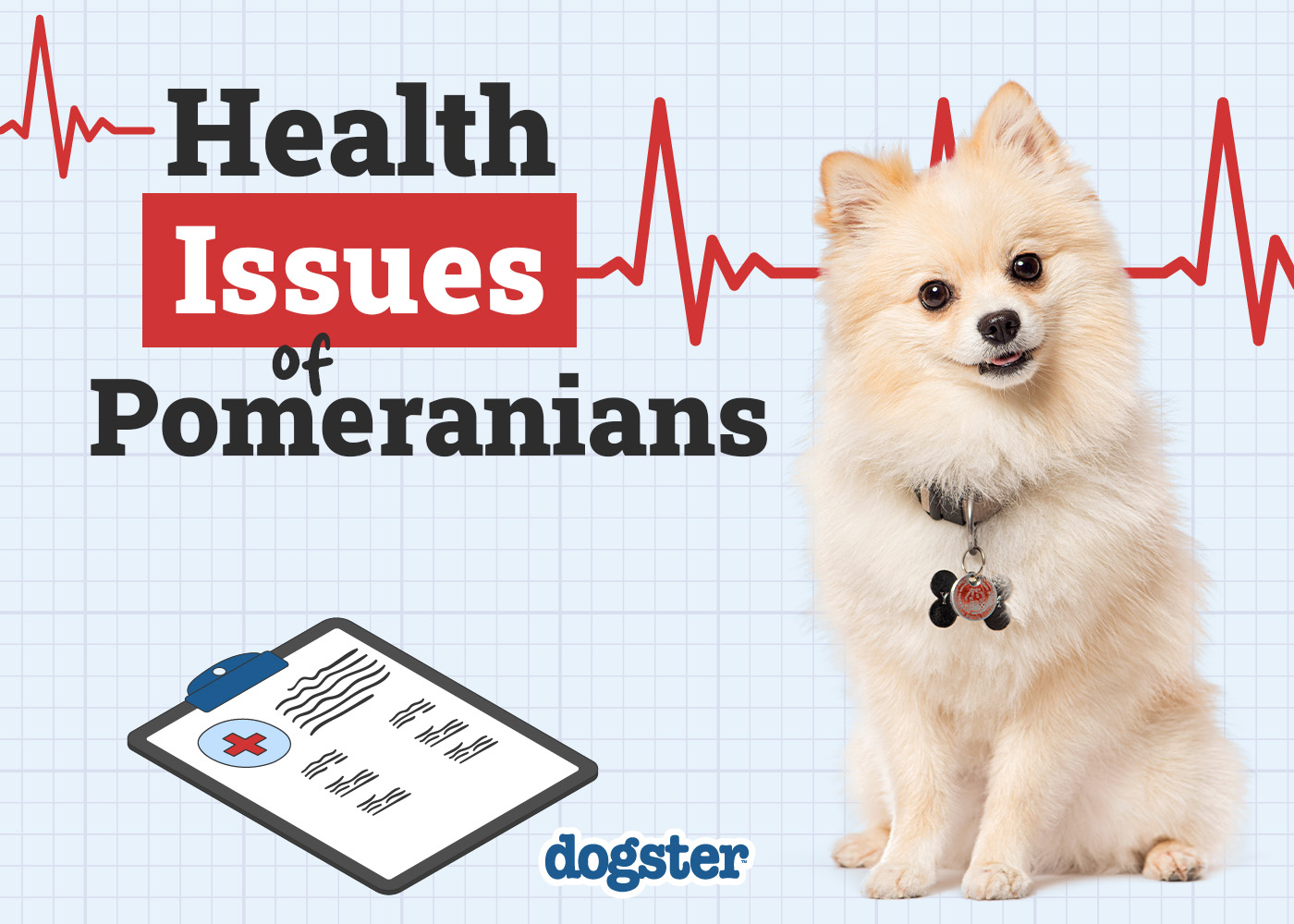 Dogster_Health Problems of Pomeranians