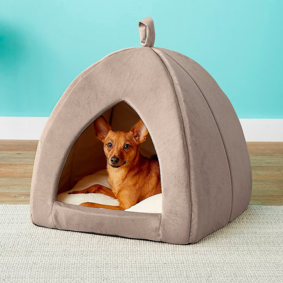 Frisco Tent Covered Dog Bed