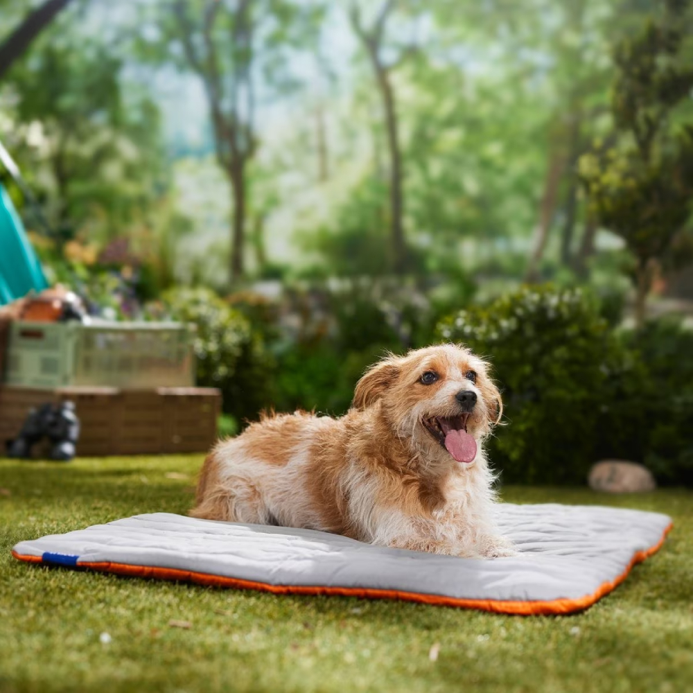 Frisco Travel Pillow Dog Bed with Reusable Storage Bag