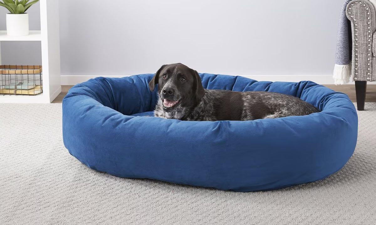 Frisco Velvet Bolster Bed with Removable Cover