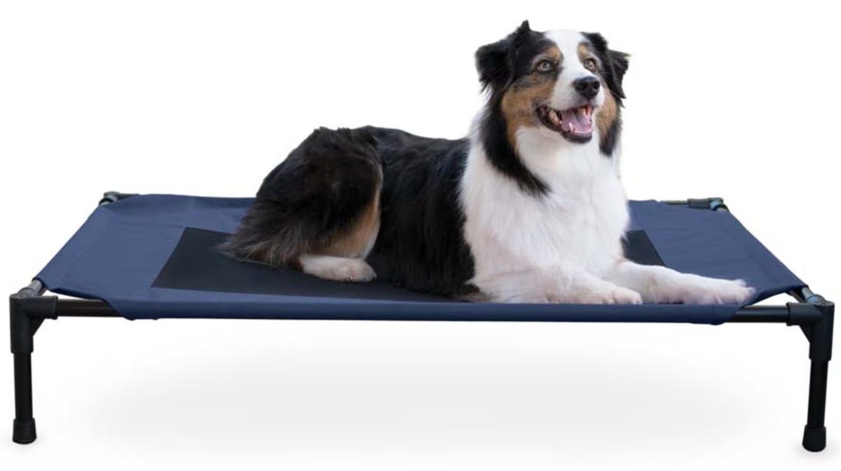 K&H Pet Products Original Pet Cot Elevated Pet Bed