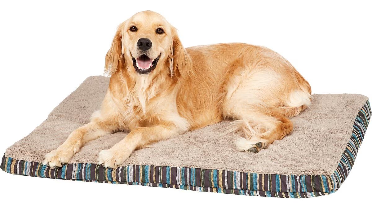 Petmate Orthopedic Pillow Dog Bed