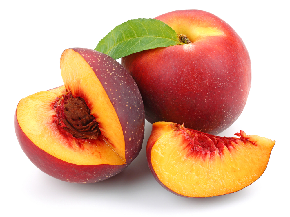 Can Dogs Eat Nectarines? VetVerified Facts & Safe Alternatives Dogster