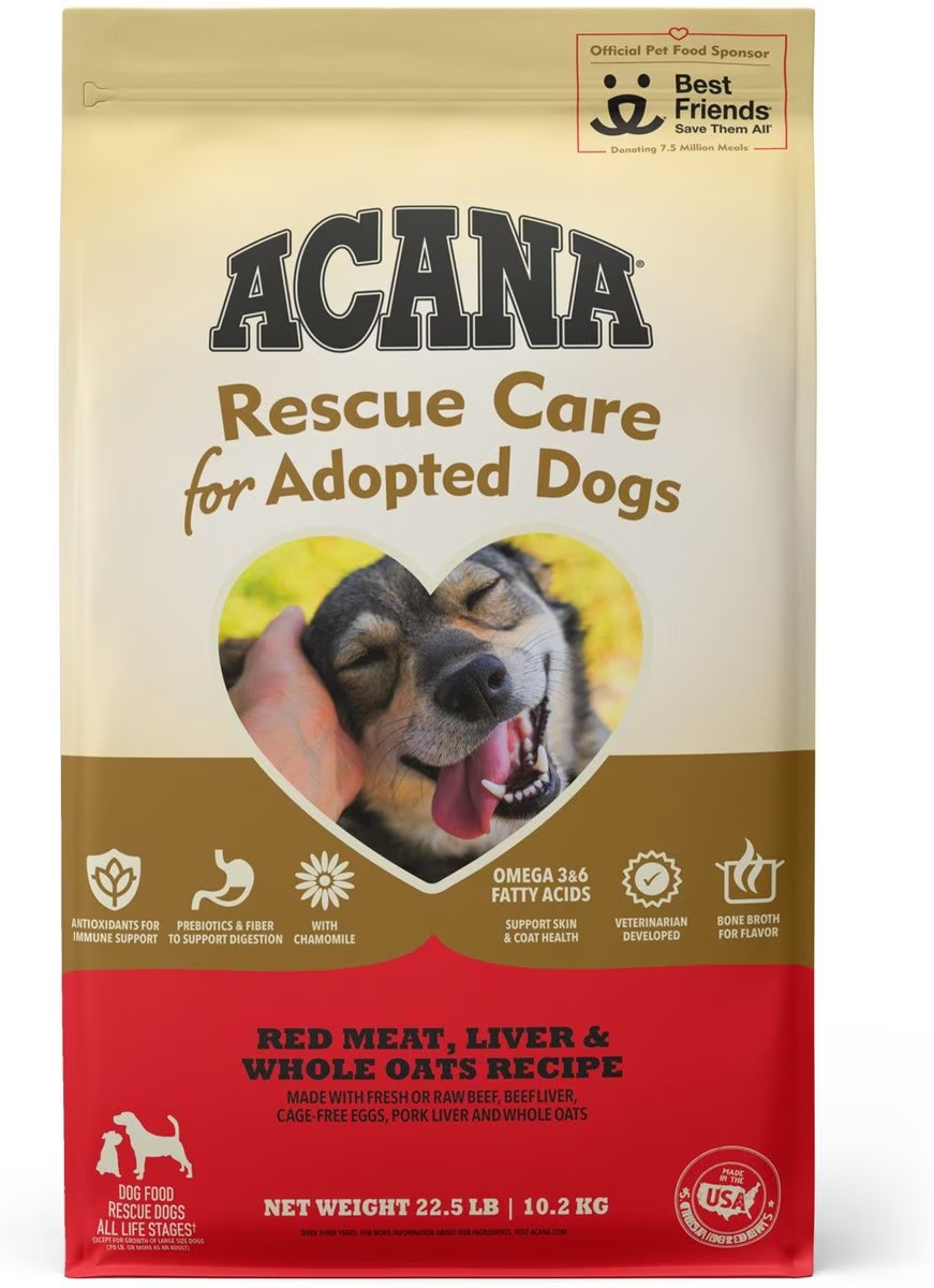 Non-GMO Dog Food with Turkey and Quinoa: A Healthier Choice for Your Furry Friend