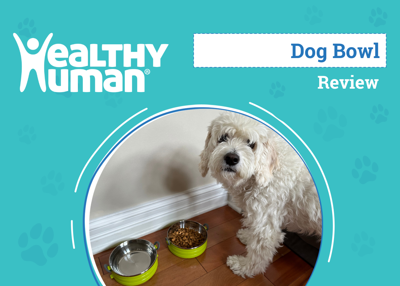 DOG_SAPR_Healthy Human Dog Bowl