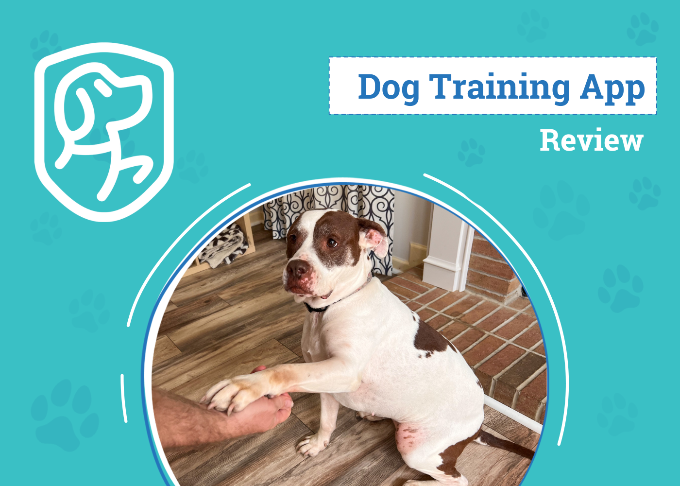 DOG_SAPR_Woofz Dog Training App