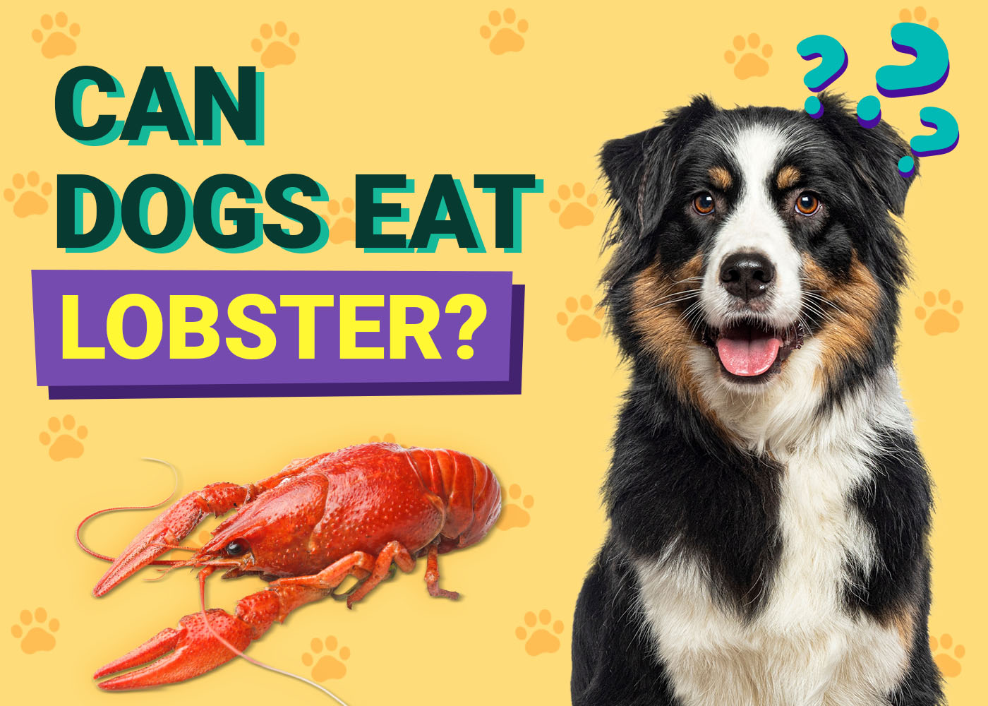 Can Dogs Eat Lobster