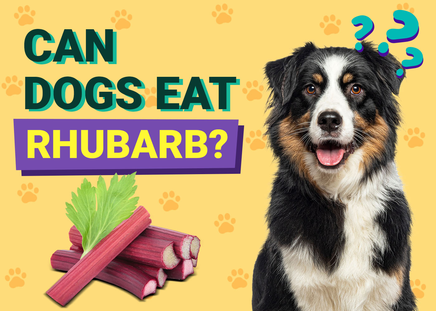 Can Dogs Eat Rhubarb