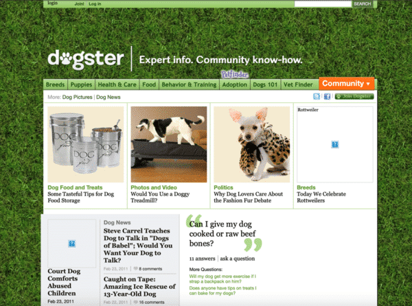 Dogster website in 2011