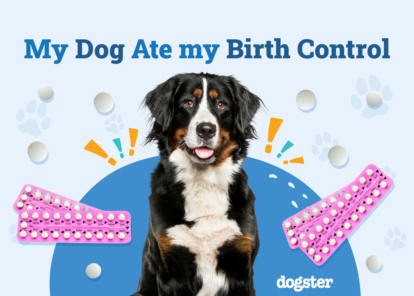 My Dog Ate My Birth Control