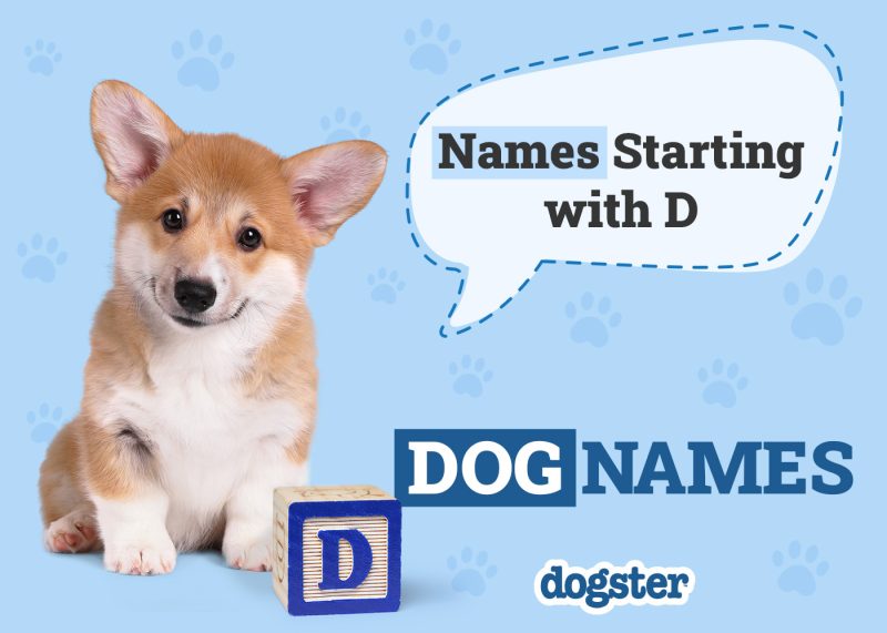 Dogster_Names Starting with D