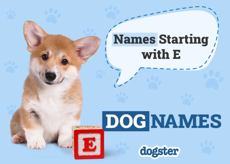 Dogster_Names Starting with E