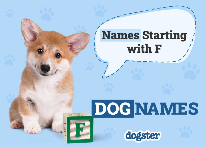 Dogster_Names Starting with F
