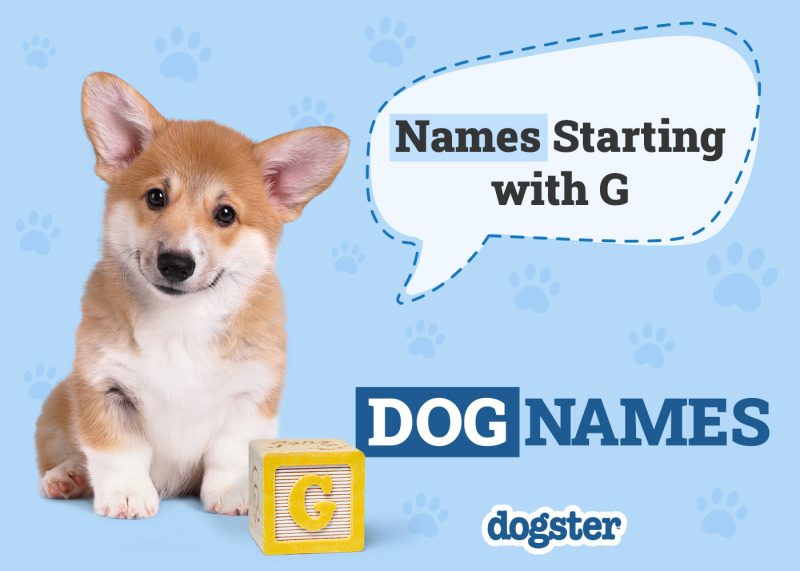 Dogster_Names Starting with G
