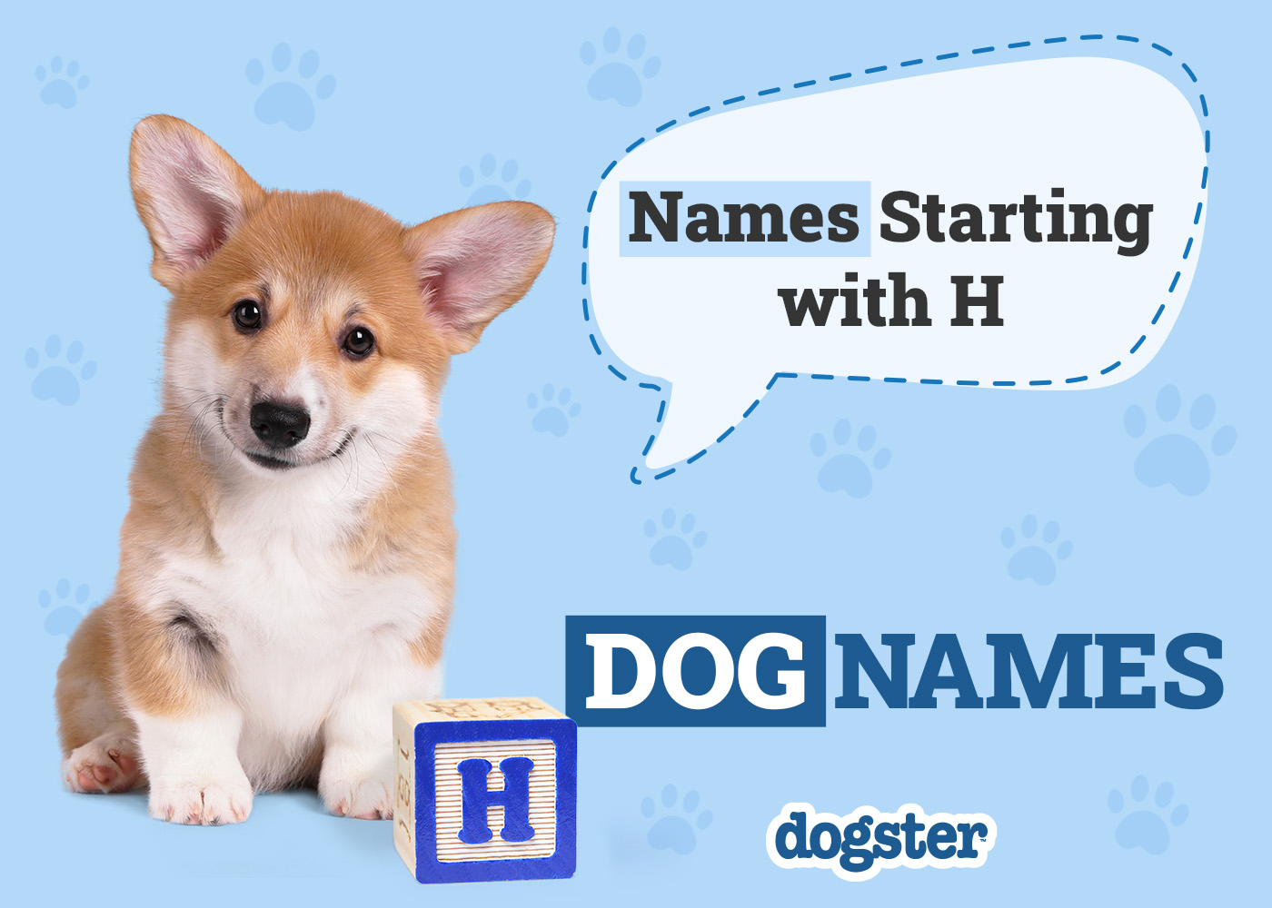 Dogster_Names Starting with H