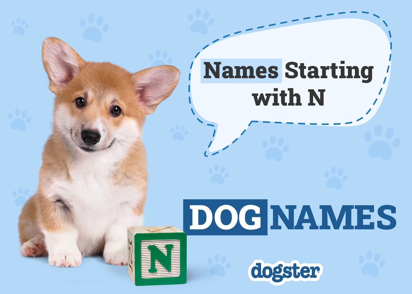 Dogster_Names Starting with N