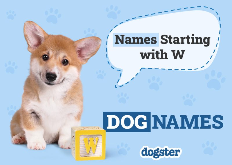 Dogster_Names Starting with W